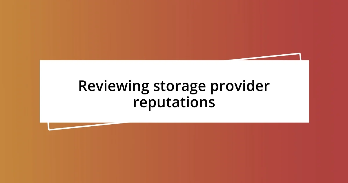 Reviewing storage provider reputations